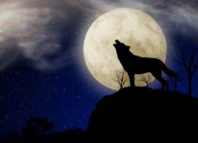 wolf moon